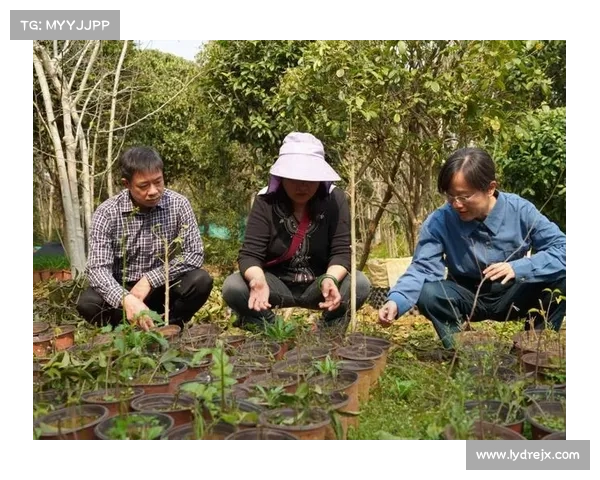 高地红石榴种植前的土壤改良、气候选择与苗木选择准备工作详解 高地红石榴种植前的土壤改良、气候选择与苗木选择准备工作详解