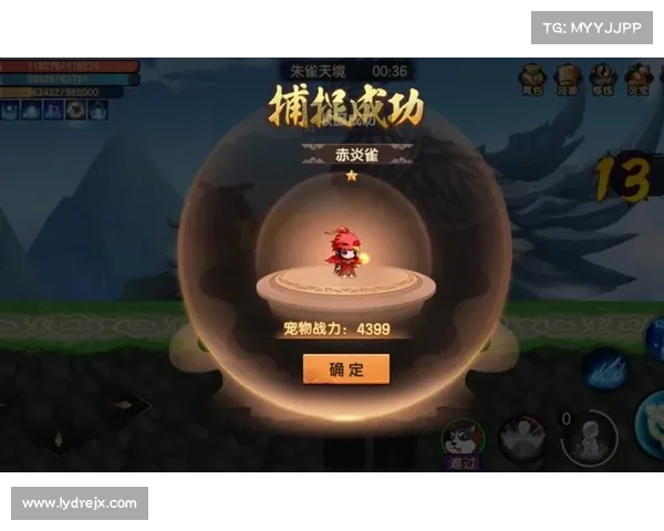 掌握朱雀天境入门十大神技助你快速踏入修炼巅峰之路 掌握朱雀天境入门十大神技助你快速踏入修炼巅峰之路